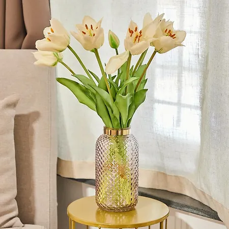 Couette-café Gioielli House